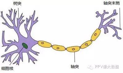 【干货长文】神经网络浅讲：从神经元到深度学习